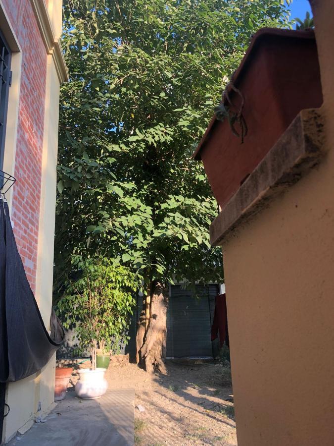 Daro Apartments Bologna Eksteriør billede